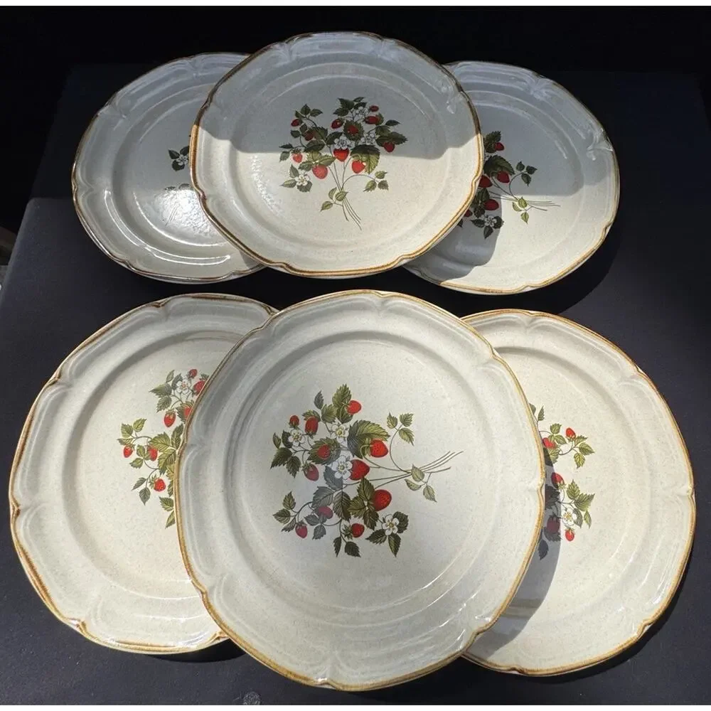 6 Vintage 1960’s Endura Collection LA FRAISE Strawberries 10.5